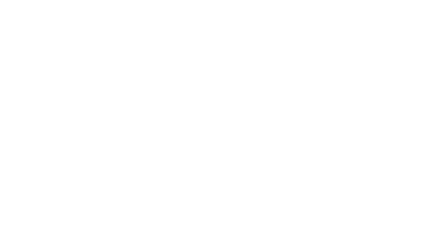Viera Consulting Logo